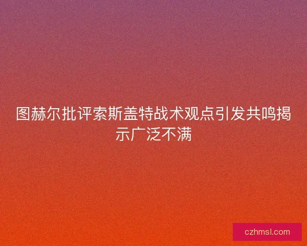 图赫尔批评索斯盖特战术观点引发共鸣揭示广泛不满